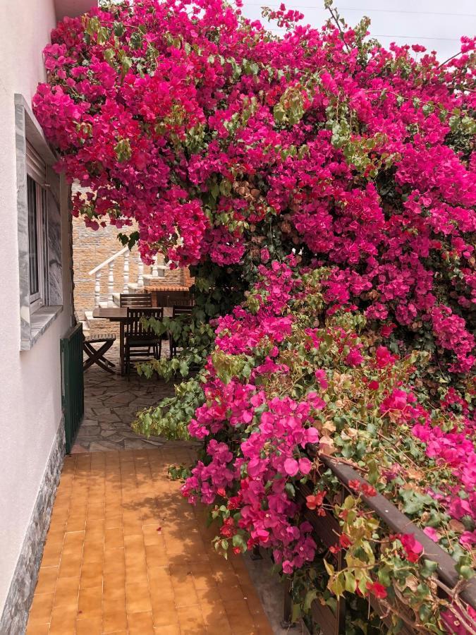 Lagun Bed & Breakfast Santo Isidoro Bagian luar foto